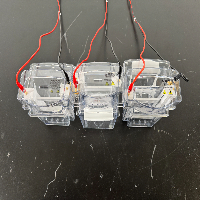 Novex XCell SureLock Electrophoresis Cells - Quantity 3 image 2